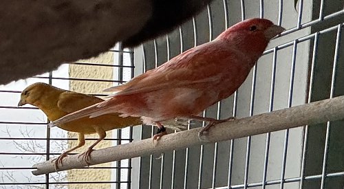 Begrüßung von neuen Mitarbeitern - charmant & fröhlich